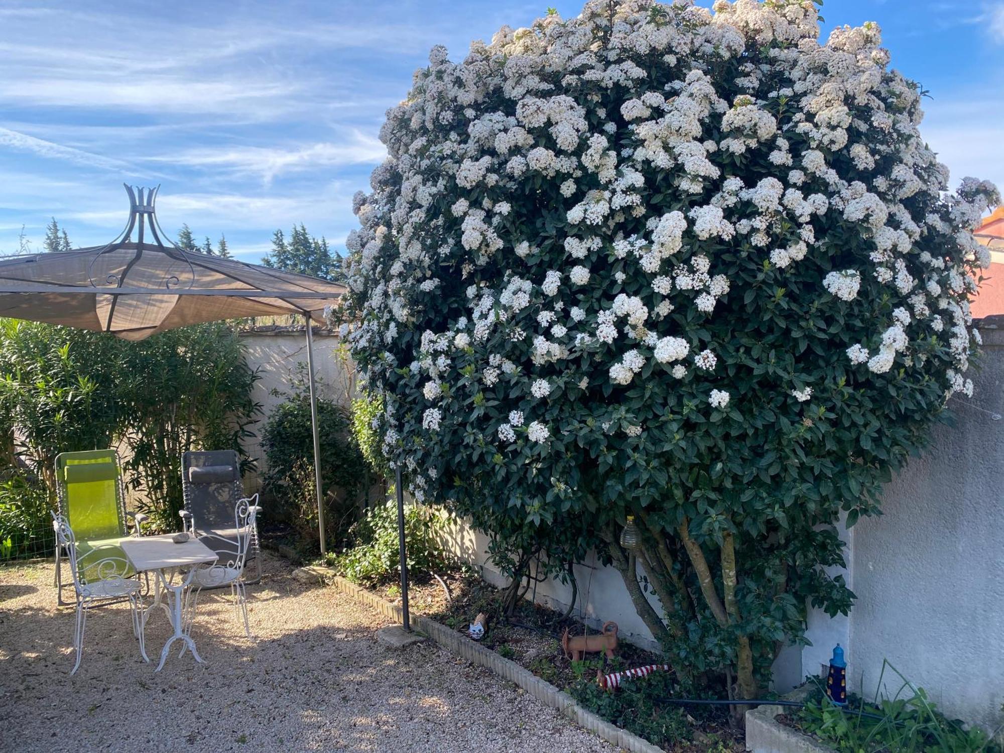 La Roubine, Velleron Villa Exterior photo